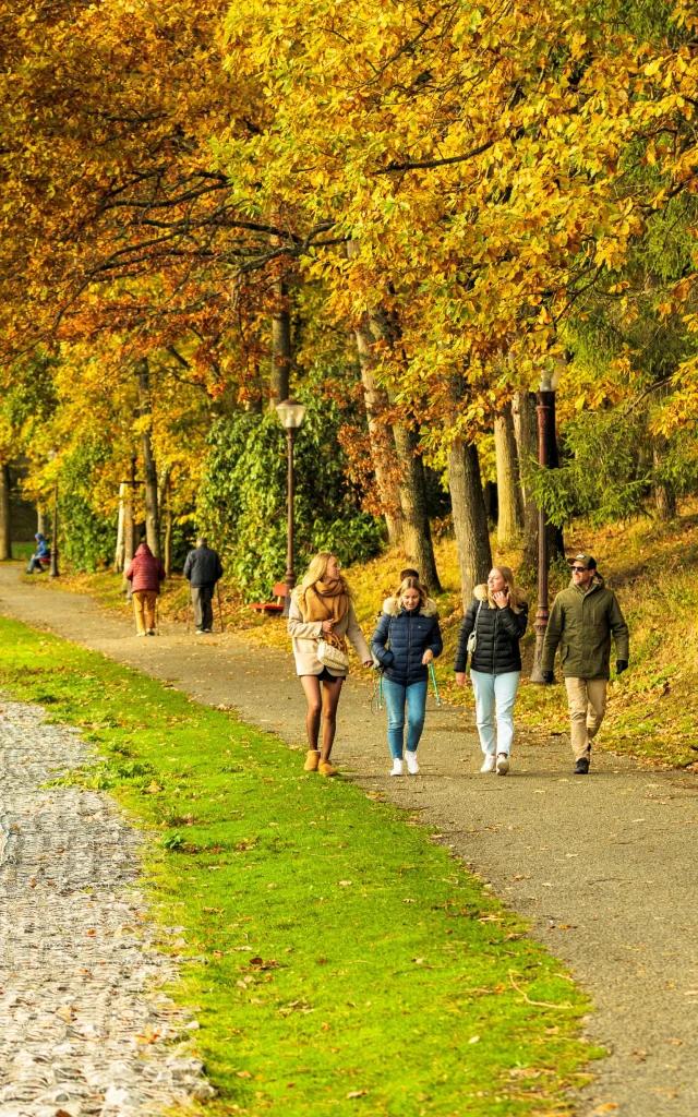 Forges Les Eaux en automne - SMA-V Rustuel