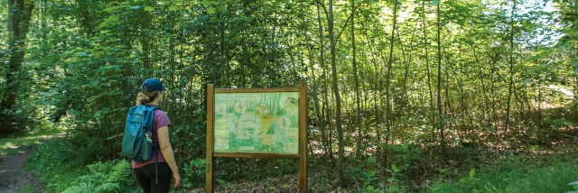 Chemin Ecoliers Sma Slecoq