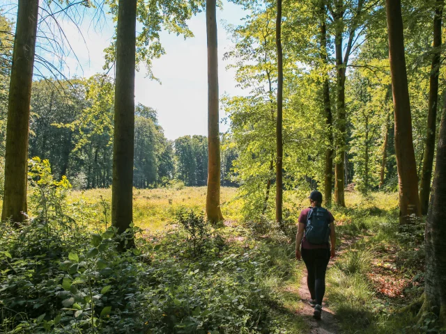 Chemin Ecoliers Sma Slecoq