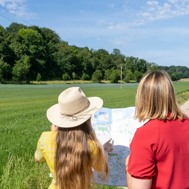 Reportage Photo lin Yvetot Normandie Tourisme