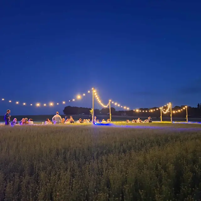 Le lin - ©Thibaud Raulic