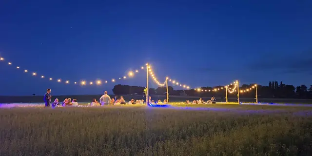 Le lin - ©Thibaud Raulic