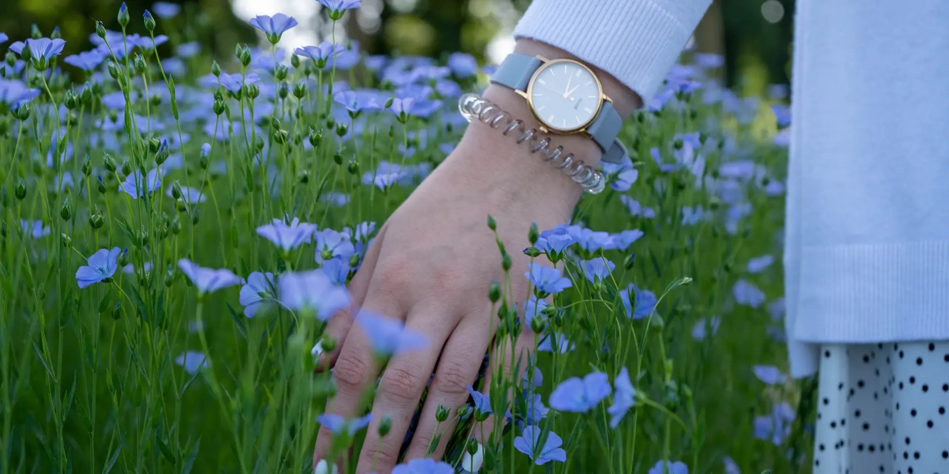 Doudeville Lin ©SMA-V.debels