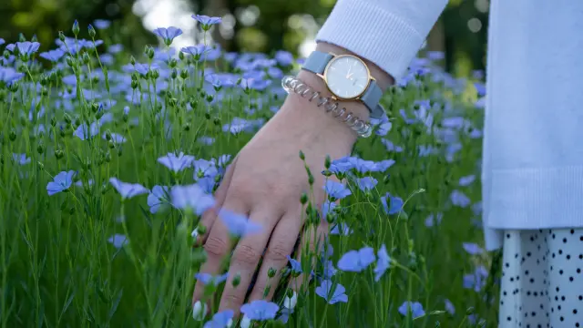 Doudeville Lin ©SMA-V.debels