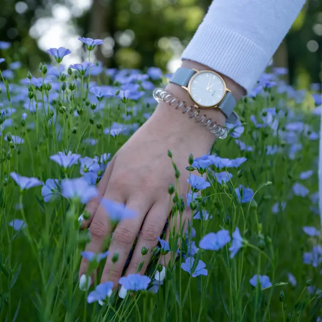 Doudeville Lin ©SMA-V.debels