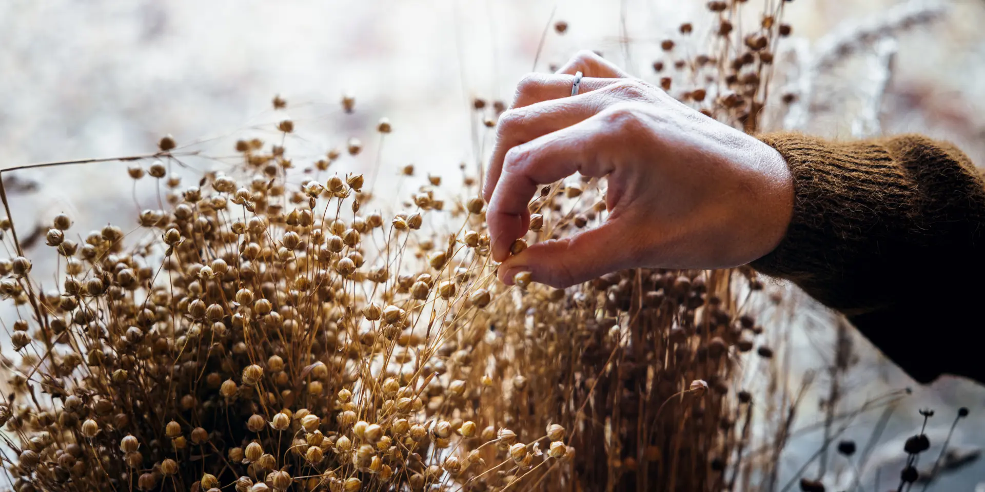 Lin Sma French Wanderers 00007 1 1