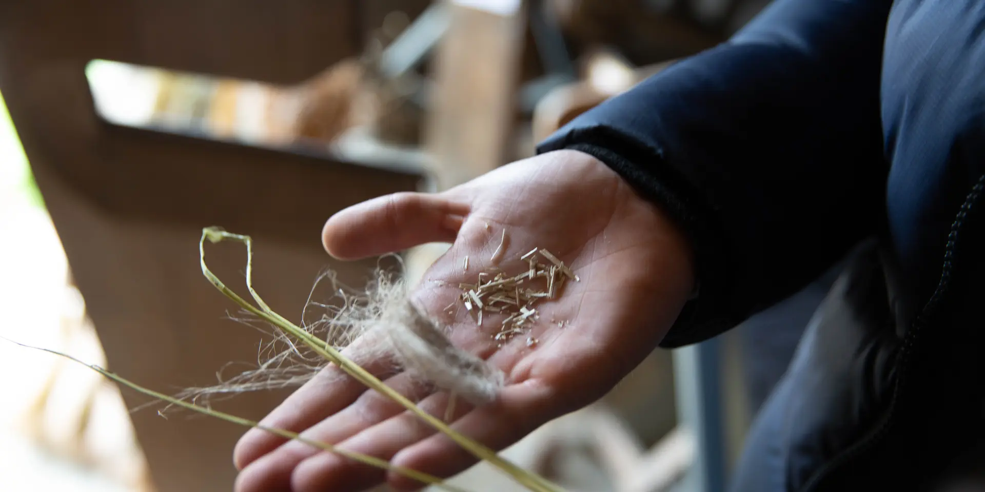 Ferme Au Fil Des Saison Debels