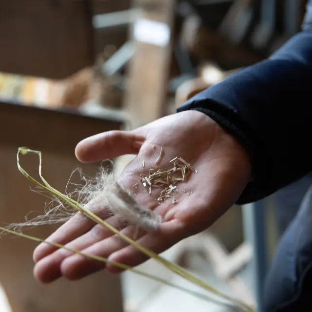 Ferme Au Fil Des Saison Debels