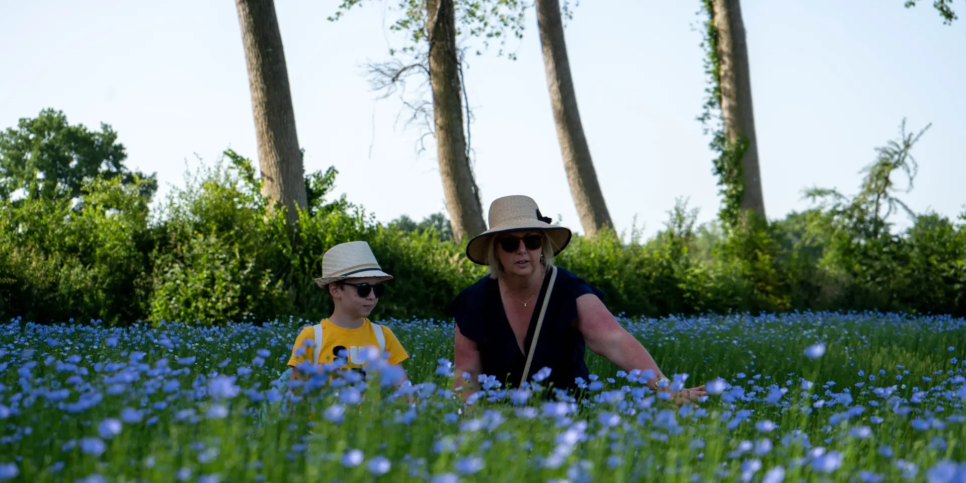 Doudeville Lin ©SMA-V.debels