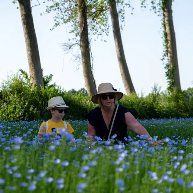 Doudeville Lin ©SMA-V.debels