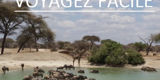 Voyagez Facile © Voyager Facile