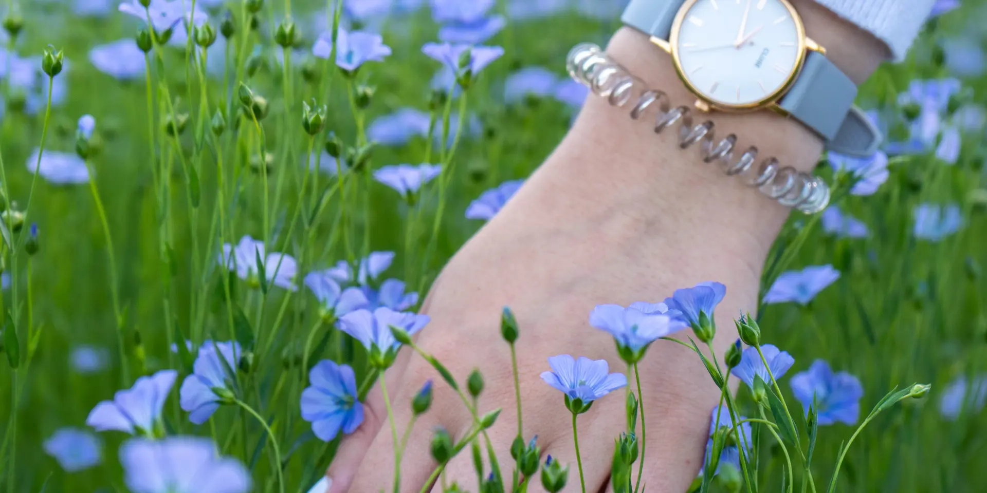 Doudeville Champs de Lin © V.debels