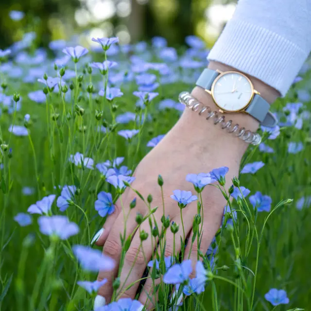 Doudeville Champs de Lin © V.debels