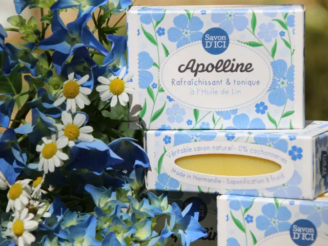 Savon Apolline © Savon d'ICI