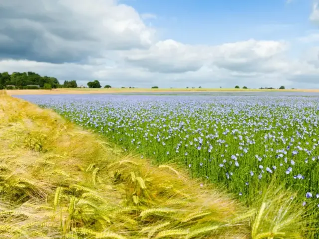Rando St Pierre Le Viger ©sma H.zangl