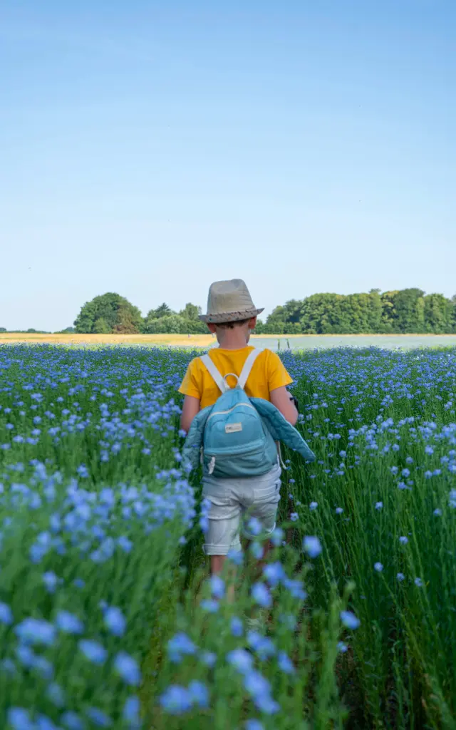 Doudeville Lin V.debels Sma 13