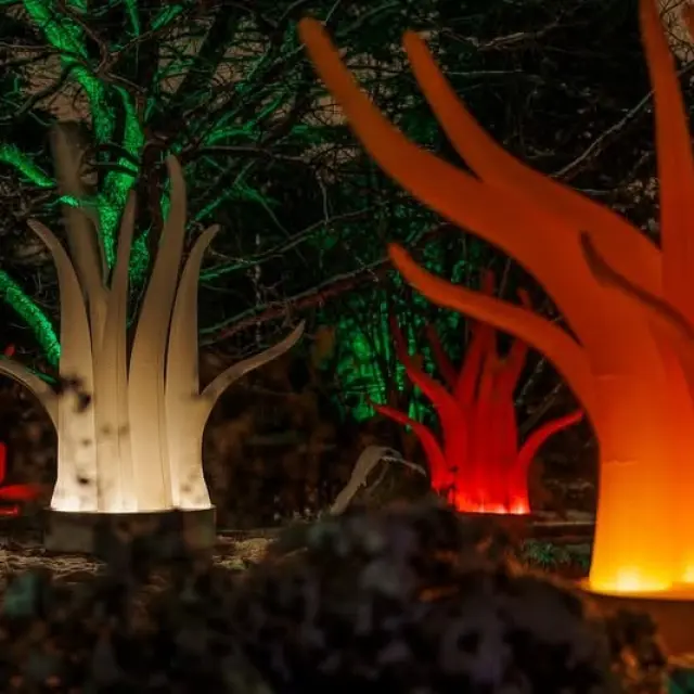 Lumières Vibrantes ©Département 76