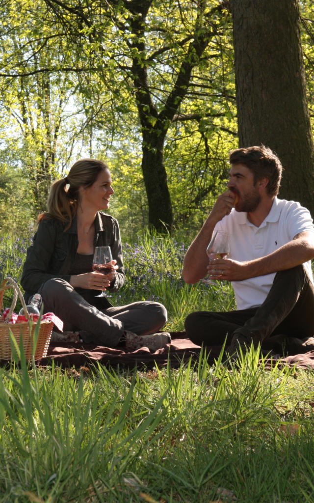 Picknick für Paare im Bois Harriez
