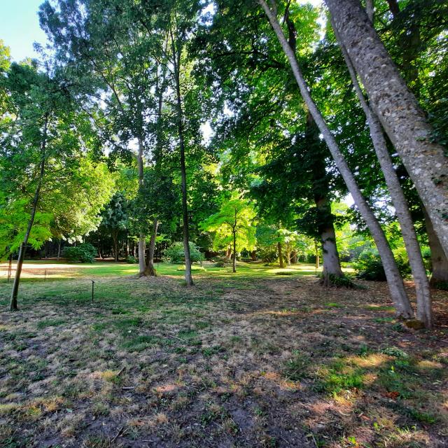 Arboretum de Septmonts