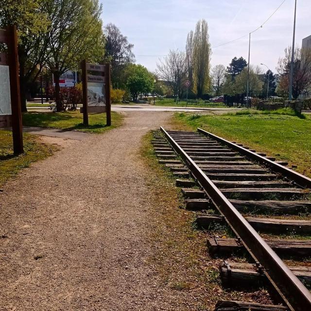 Instagram #soissons