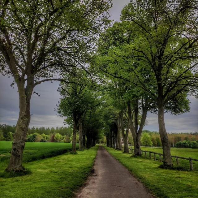 Instagram #soissons