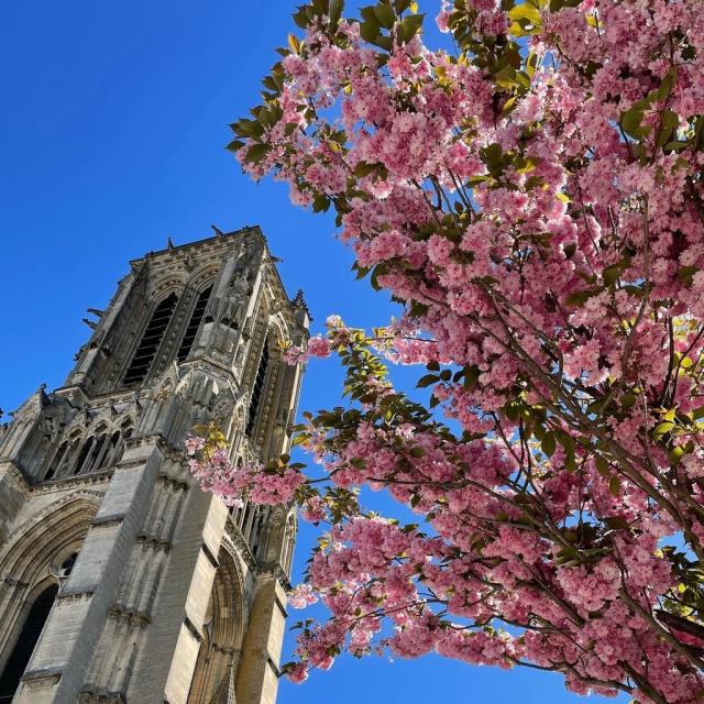 Instagram #soissons