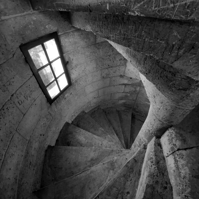Dans L'intimité Du Donjon