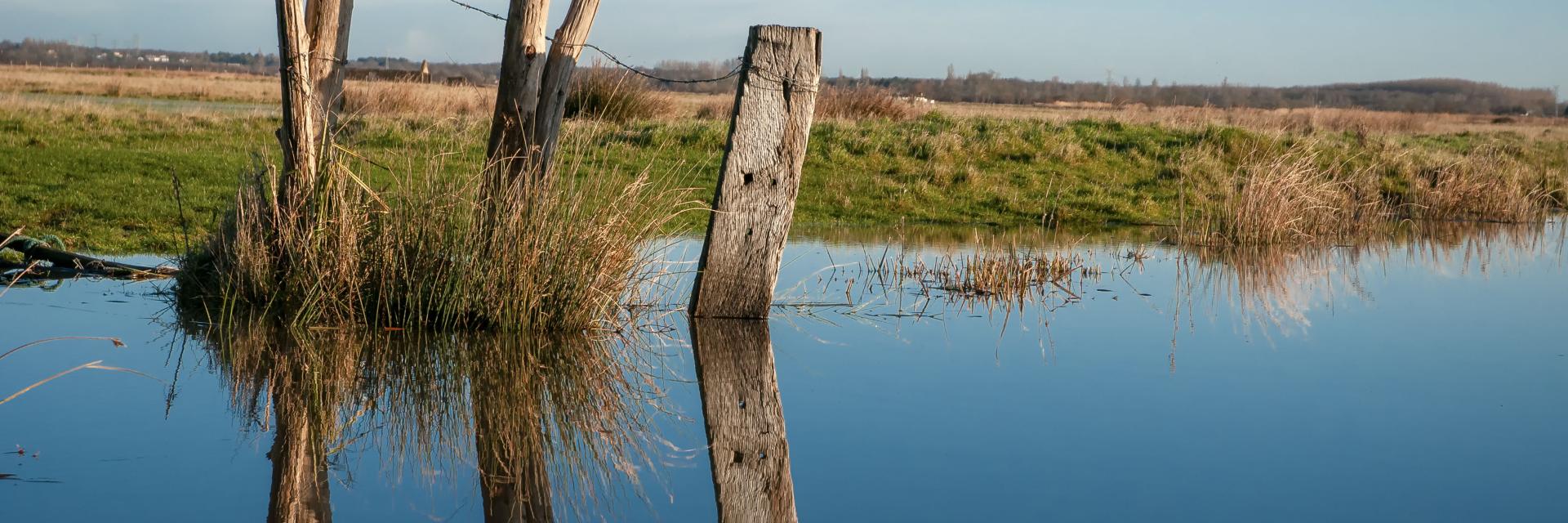 Marais Breton2
