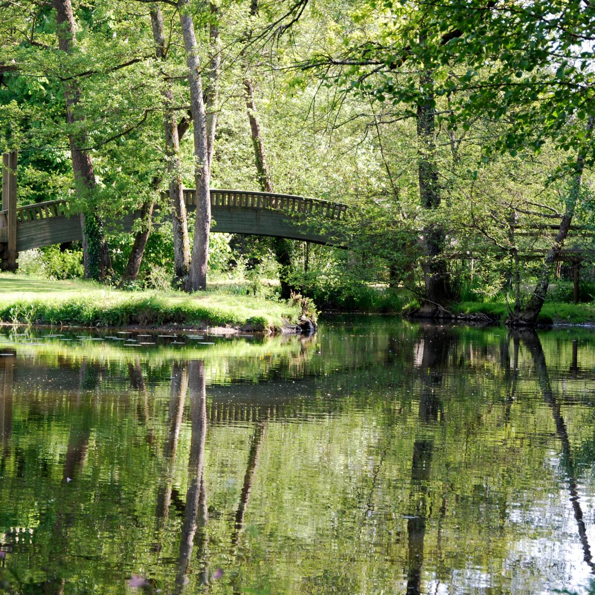 Les circuits pédestres dans la Vallée de la Logne Sud Retz Atlantique Tourisme