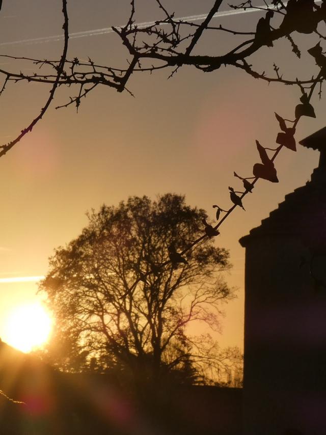abbaye-de-la-chaume.jpg