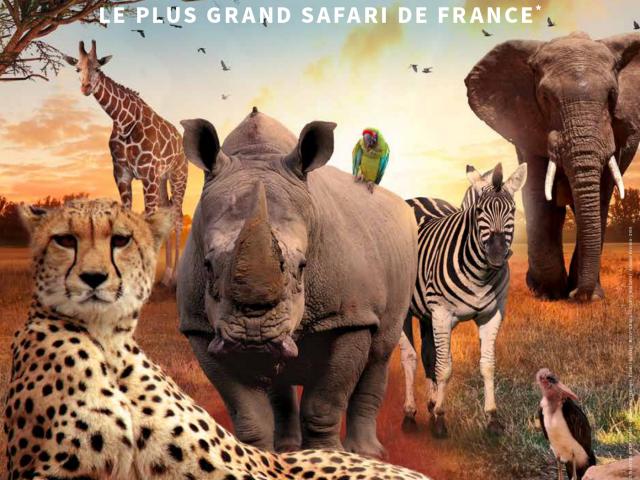 affiche-verticale-page-0001.jpg