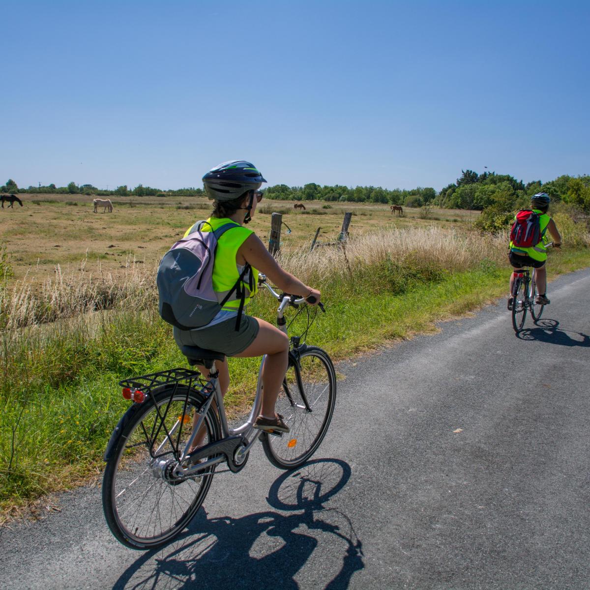Balade en canoë sur Le Falleron Sud Retz Atlantique Tourisme