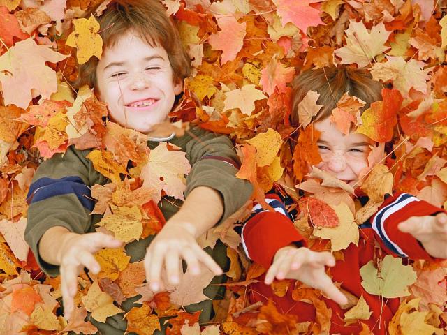 Enfants Jeux Feuille Automne
