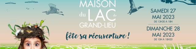 MDL