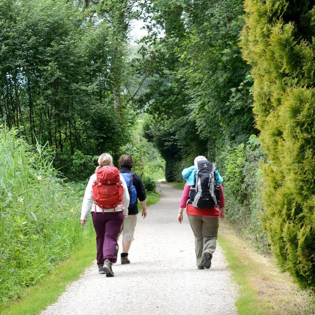 Randonnée pied en Sud Val de Loire