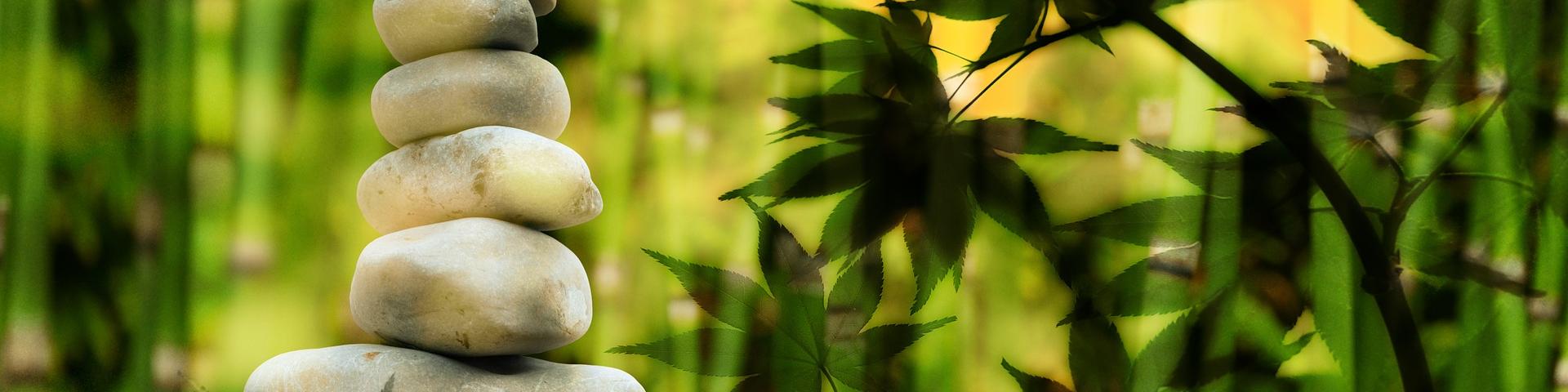 Clientele Zen&nature Bandeau