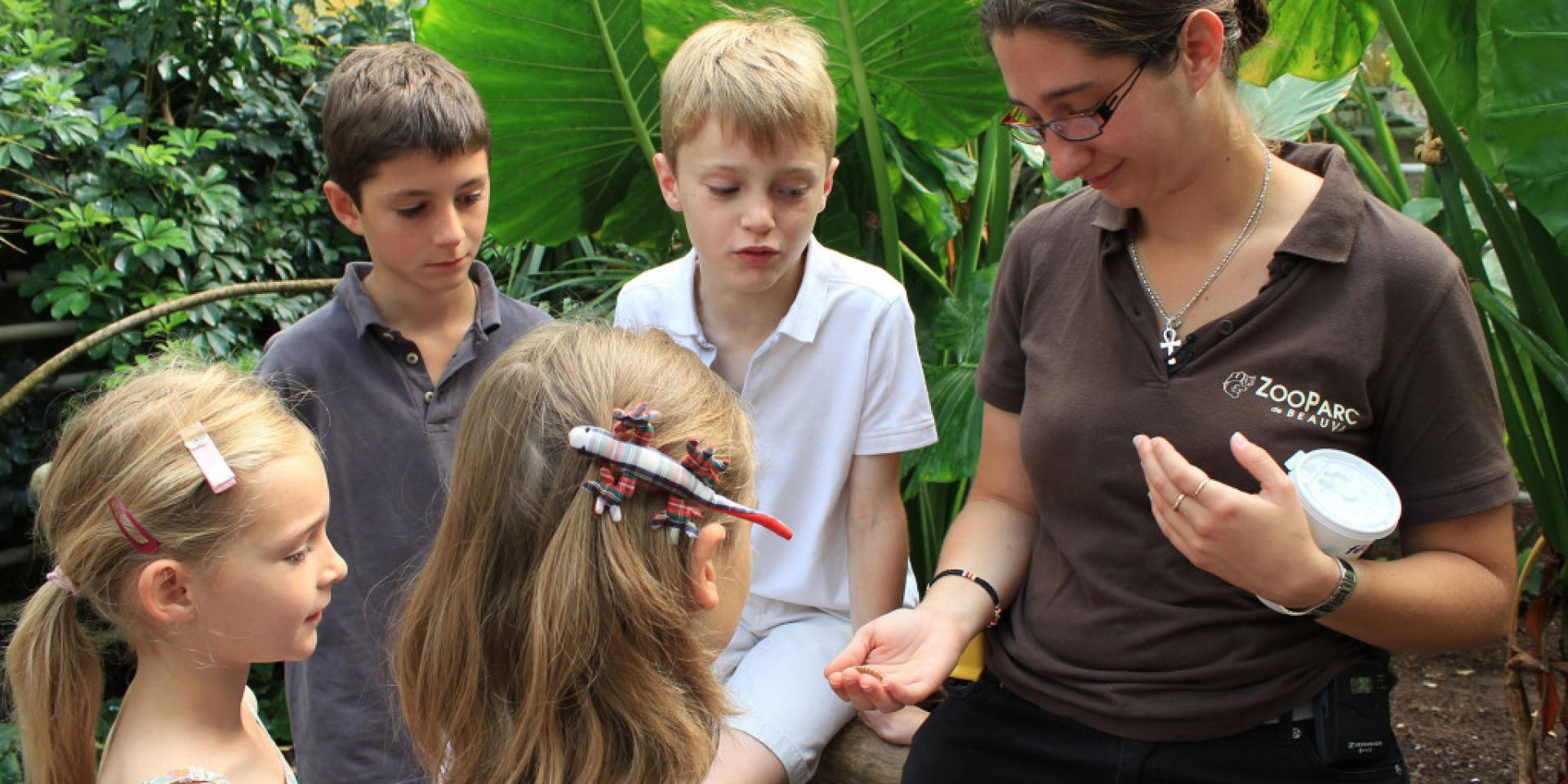 Rende-vous pédagogique avec un soigneur au Zooparc De Beauval