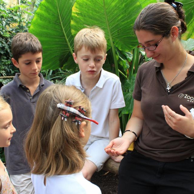 Rende-vous pédagogique avec un soigneur au Zooparc De Beauval