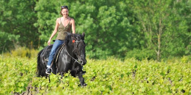 Randonnée à cheval en Sud Val de Loire