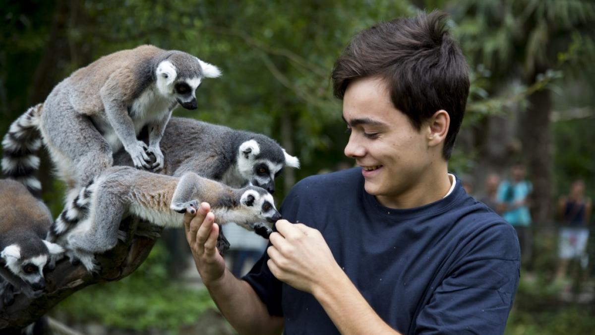 Soigneur d’un jour à Beauval | Sud Val de Loire Tourisme