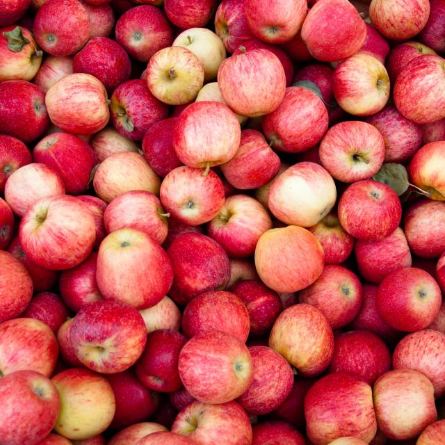 pommes-4.jpg