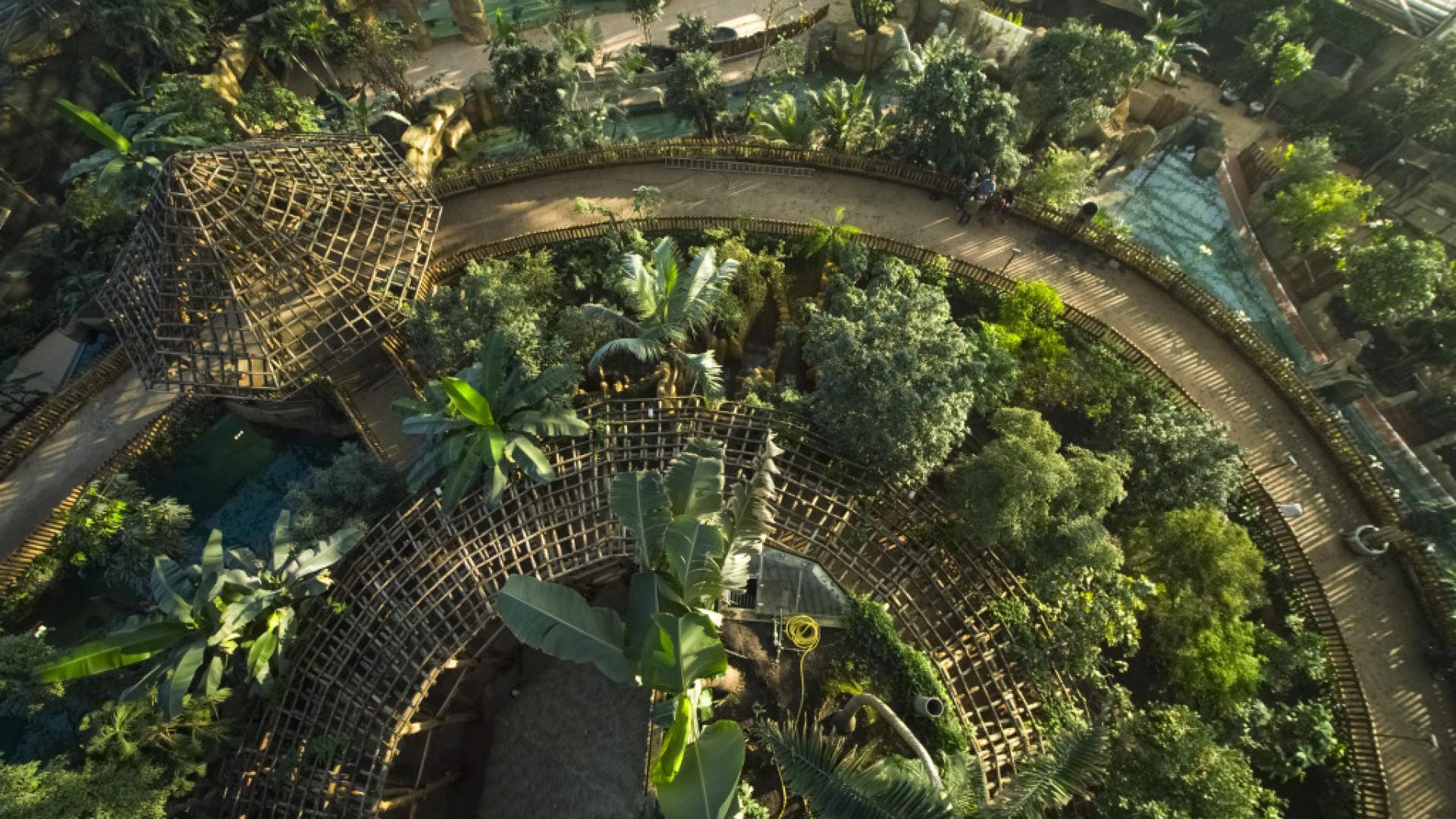Nouveauté 2020- Zoo Beauval Dome Equatorial