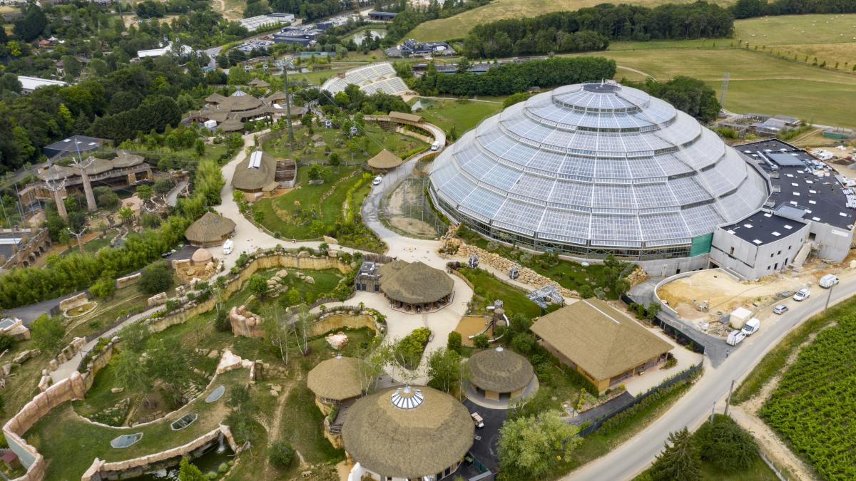 ZOO PARC DE BEAUVAL Sud Val de Loire Tourisme