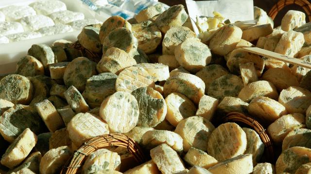 Mini Fromage De Chevre Aop Terroir Sudvaldeloire