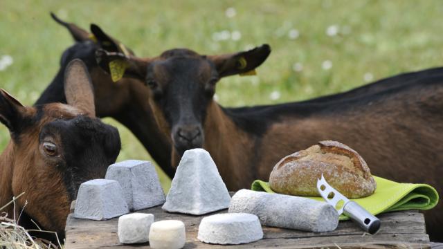 Palais Du Ptit Chevre Visuel Bandeau