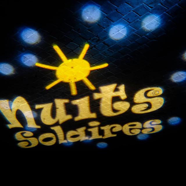 Les Nuits Solaires Nocturne Montrésor 2020 ©montresor Se Raconte 3