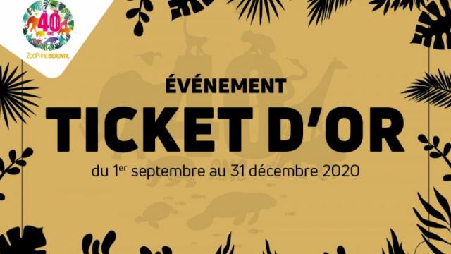 Le ZooParc de Beauval fête ses 40 ans