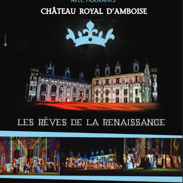 Nocturne Chateau Royal Amboise Les Reves De La Renaissance Val De Loire