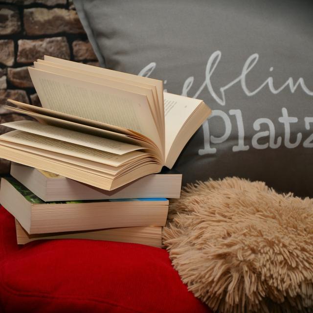 Livres Et Lectures Sur Le Val De Loire, La Touraine Et La Sologne