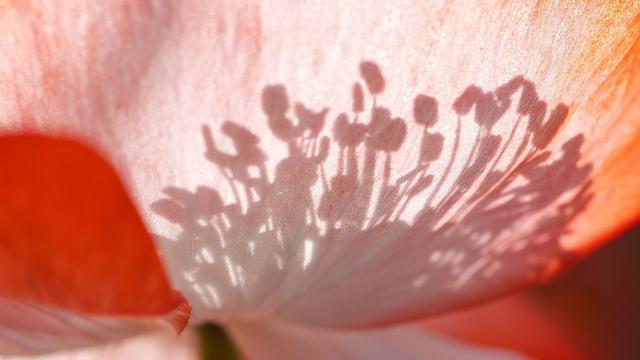 outils-photos-retouche-contenu-réseaux sociaux